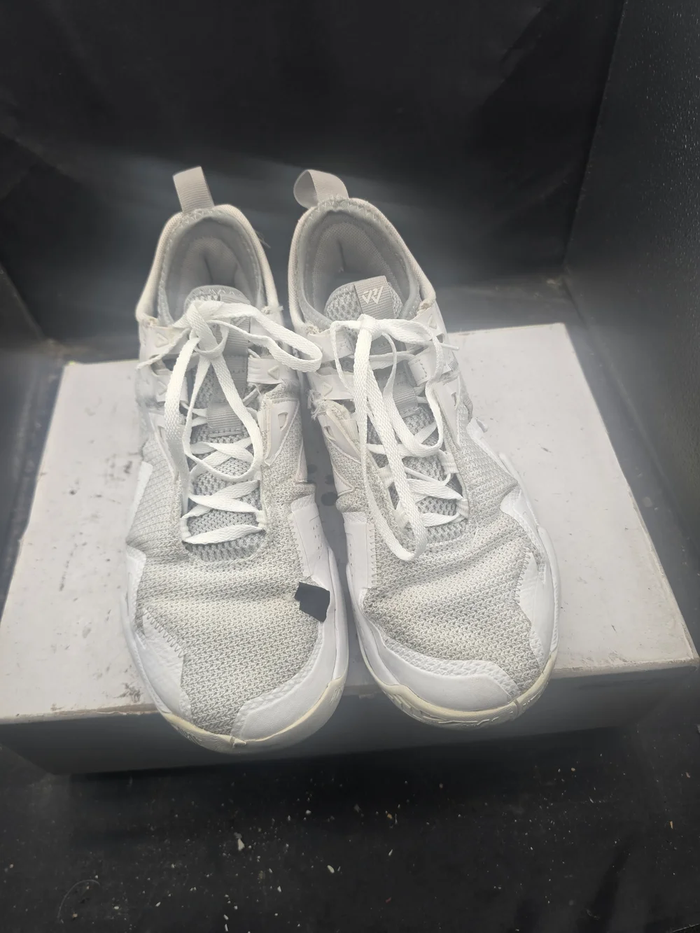 Jordan Men’s Athletic Shoes White Gray